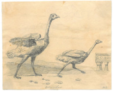Picture 1