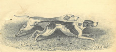 Picture 1