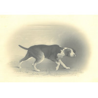 Picture 1