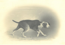 Picture 1