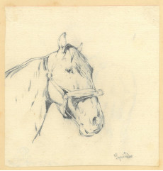 Picture 1
