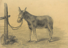 Picture 1