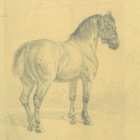 Picture 1