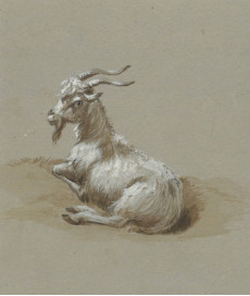 Picture 1