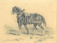 Picture 1
