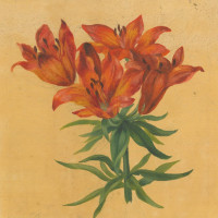Picture 1