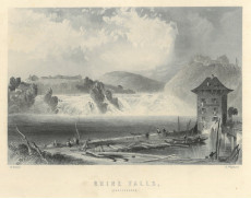 Picture 1
