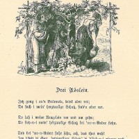 Scherer, Georg (Hrsg.). Bild 1