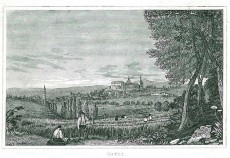 Picture 1